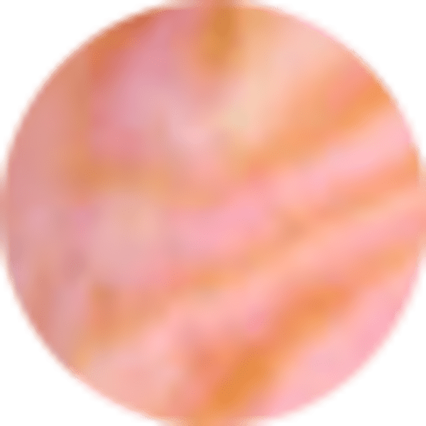 Light Pink Iridescent Abalone