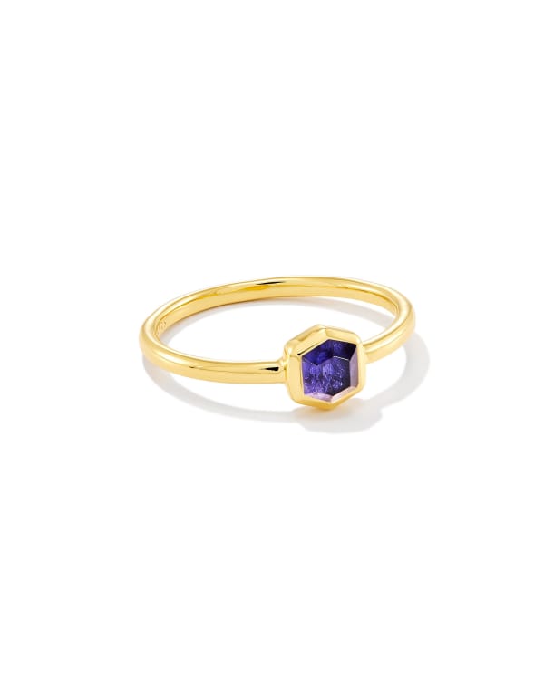 Davie 18k Gold Vermeil Band Ring in Blue Iolite