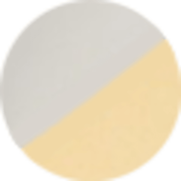 Two Tone Stainless Steel