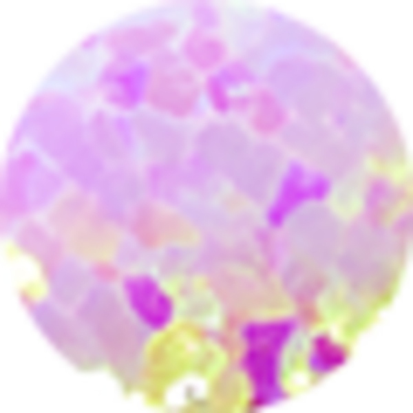 Bubblegum Pink Lab Grown Opal