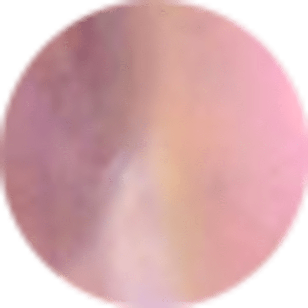 Light Pink Iridescent Abalone