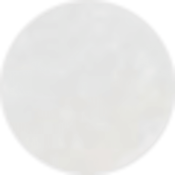 Ivory Mother-of-Pearl