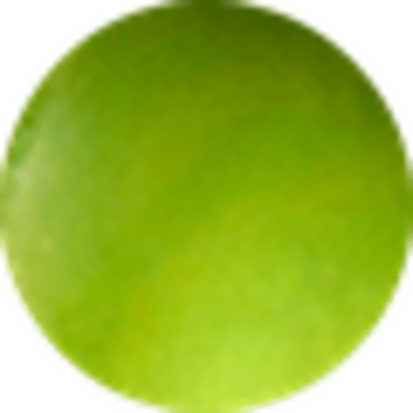Chartreuse Green Mother-of-Pearl