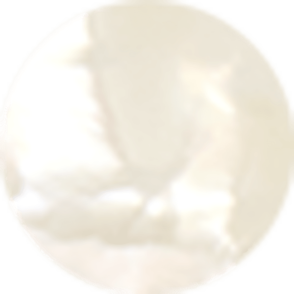 Ivory Mother-of-Pearl