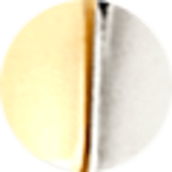 Two Tone Stainless Steel