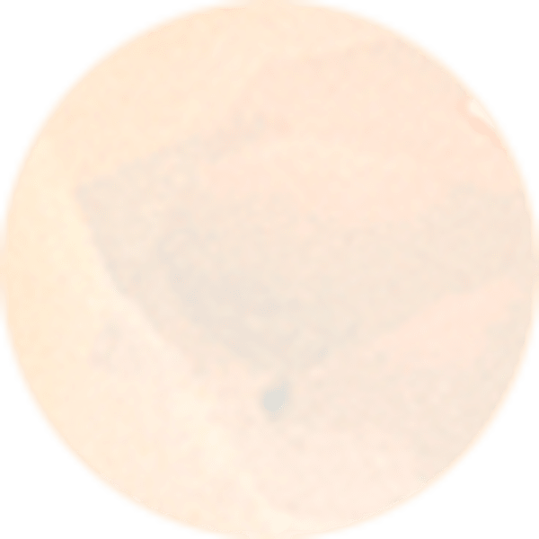 White Iridescent Crystal