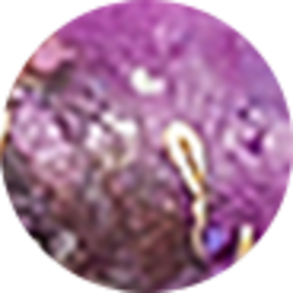 Bronze Veined Purple Turquoise