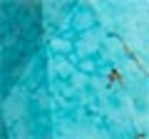 Variegated Turquoise Magnesite