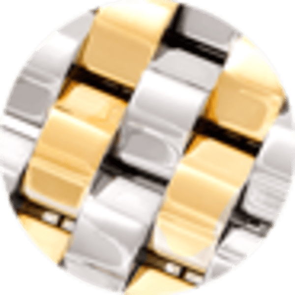 Two Tone Stainless Steel