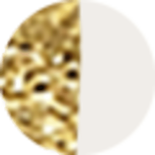 Two Tone Stainless Steel