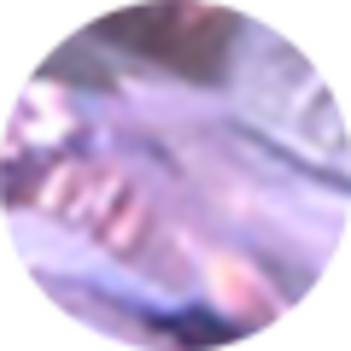 Lindy Rae Elisa Gold Short Pendant Necklace