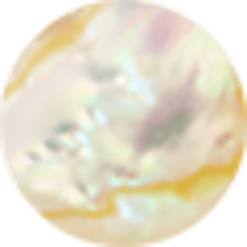 Iridescent Abalone
