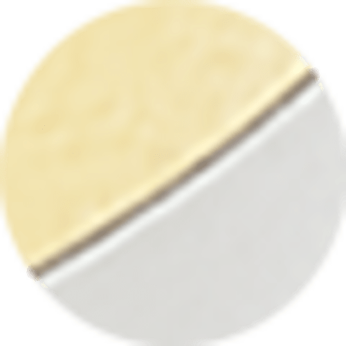 Two Tone Stainless Steel