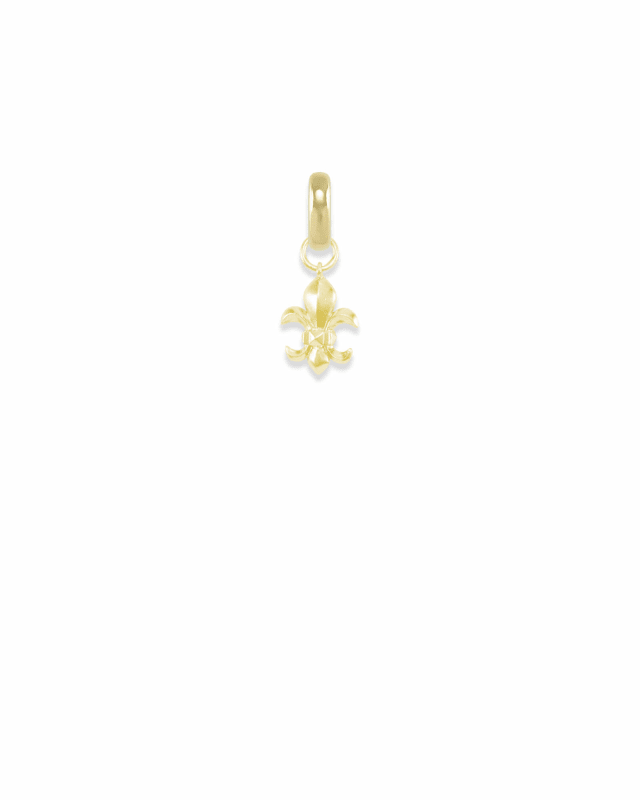 Louisiana Fleur-de-lis Charm image number 0.0