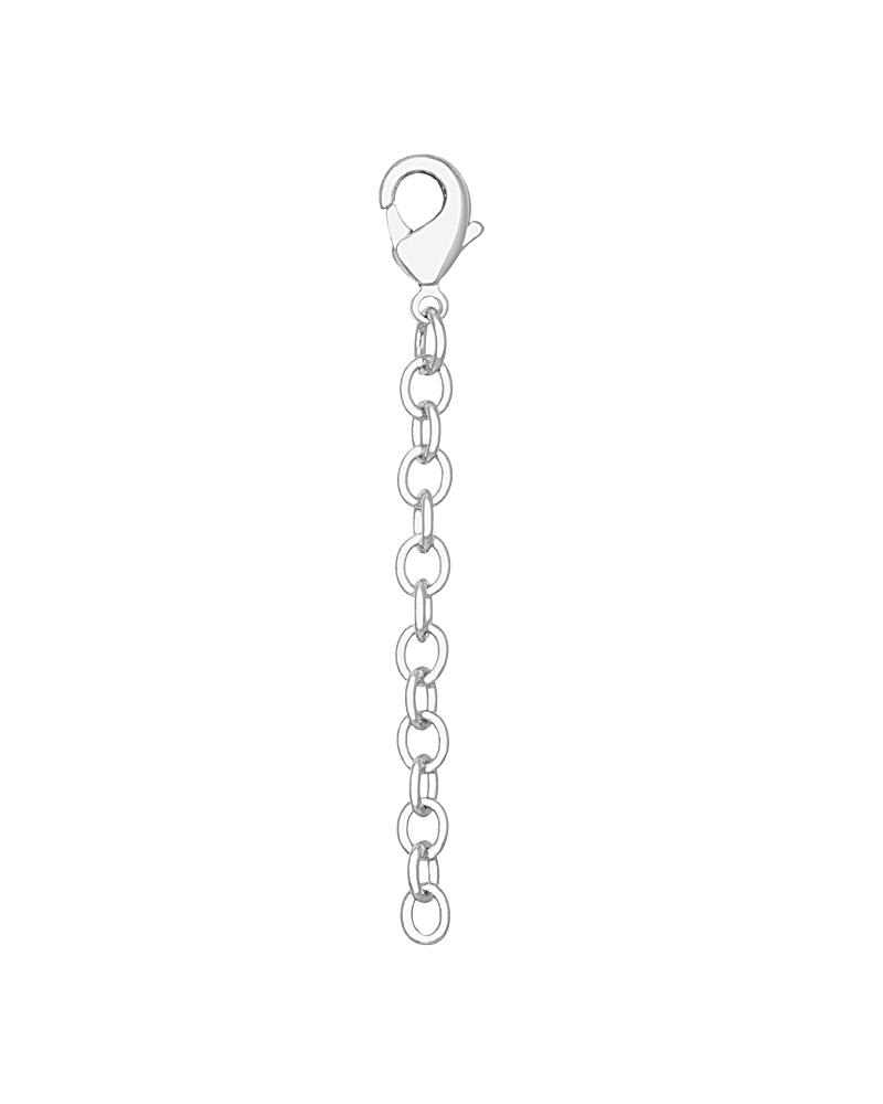 2 Inch Silver Lobster Claw Extender image number 0