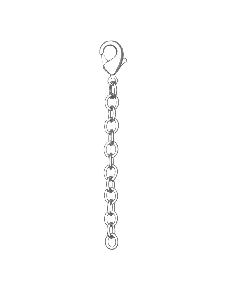Silver Lobster Claw Necklace Extender 