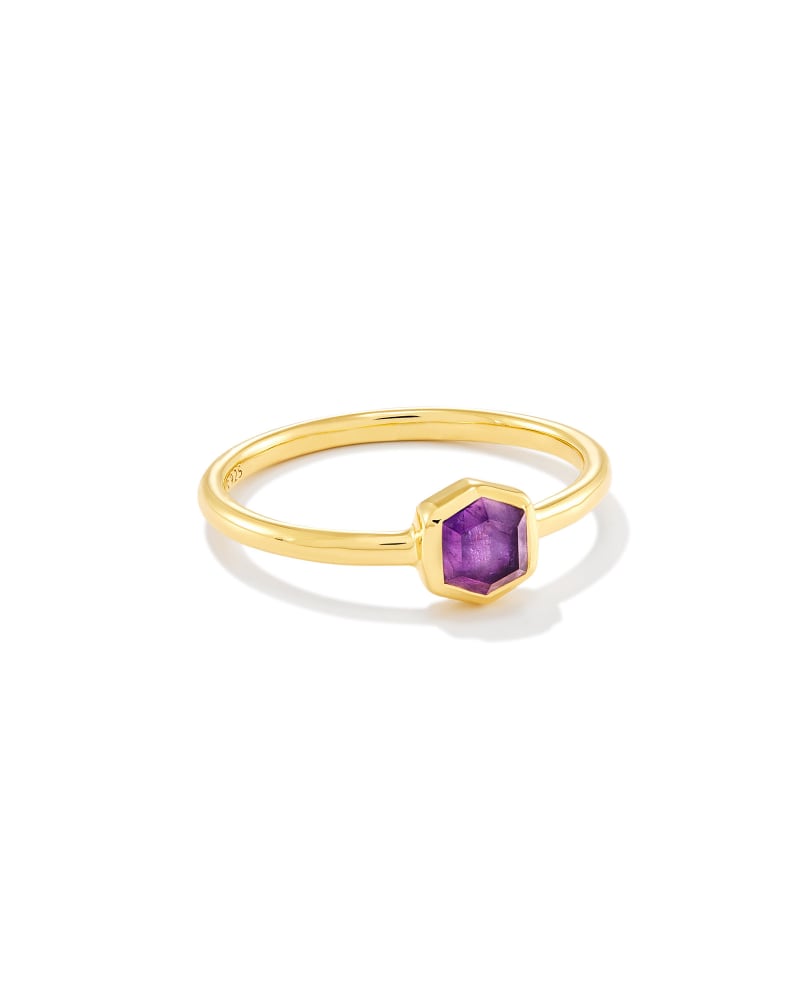 Davie 18k Gold Vermeil Band Ring in Amethyst image number 0