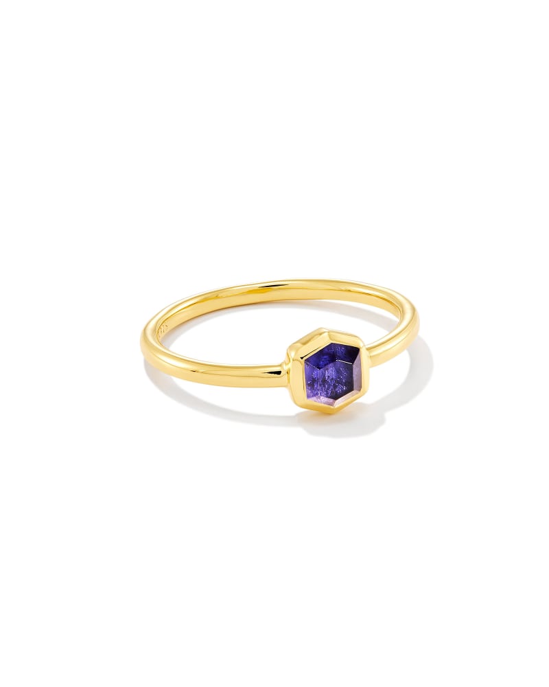 Davie 18k Gold Vermeil Band Ring in Blue Iolite image number 0
