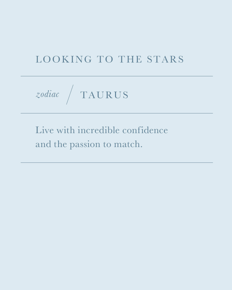 Taurus Coin Charm in Silver image number 2