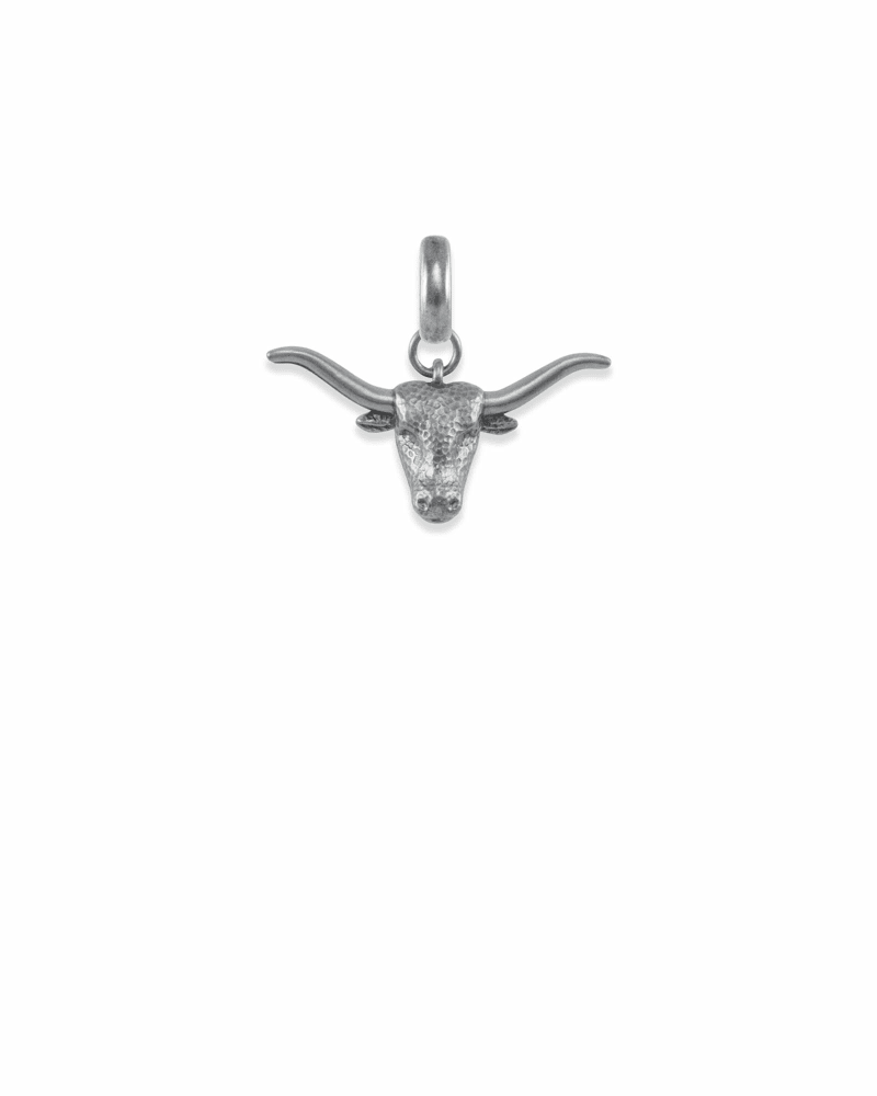 The University of Texas at Austin Longhorn Charm in Vintage Silver image number 0