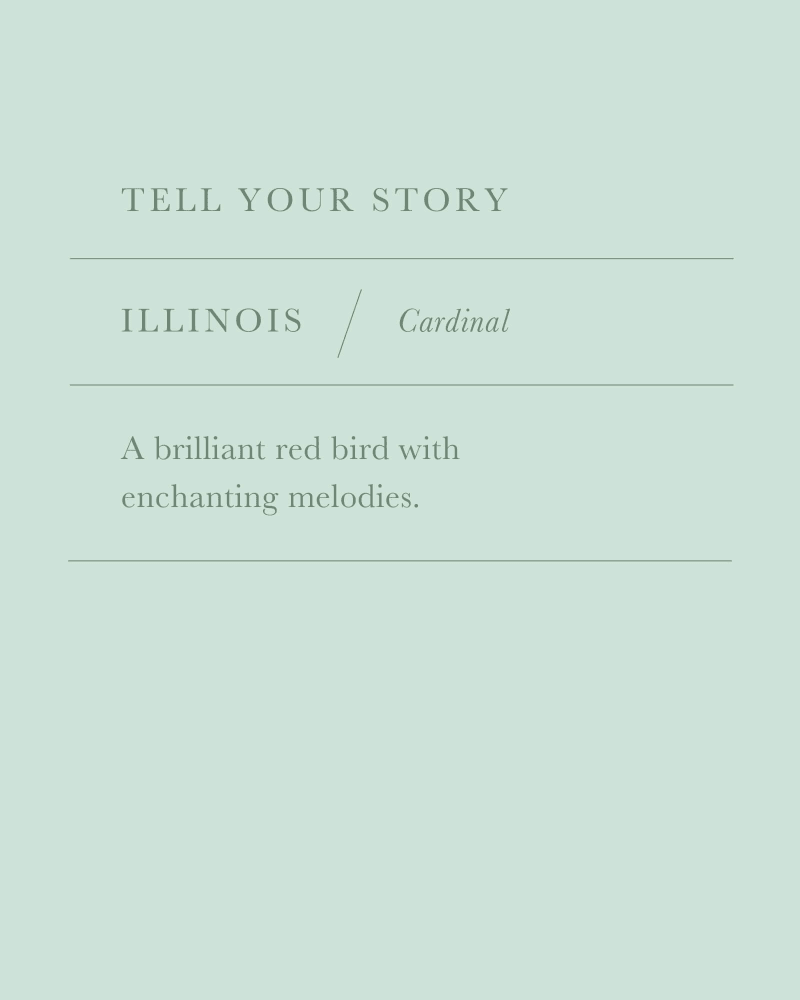 Illinois Cardinal Charm in Rose Gold image number 2