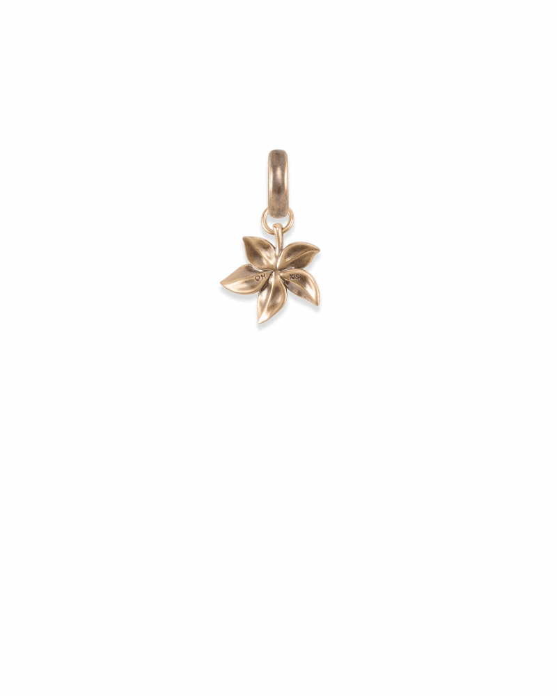 Ohio Buckeye Charm in Vintage Gold image number 2