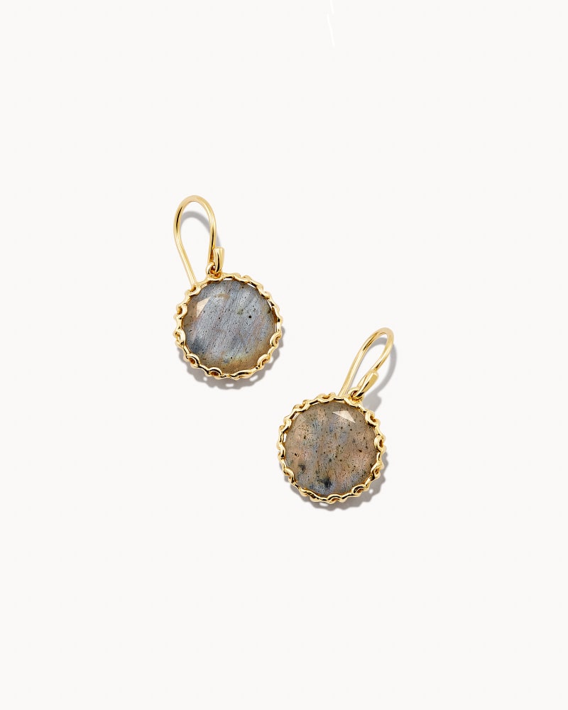 Jane 18k Yellow Gold Vermeil Drop Earrings in Gray Labradorite image number 0
