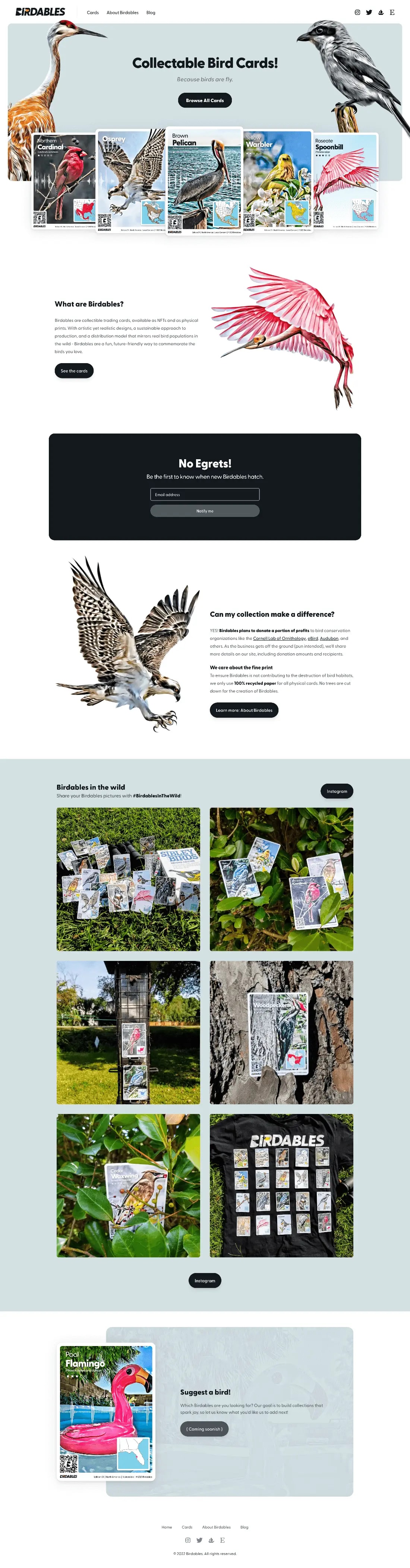 Birdables Homepage