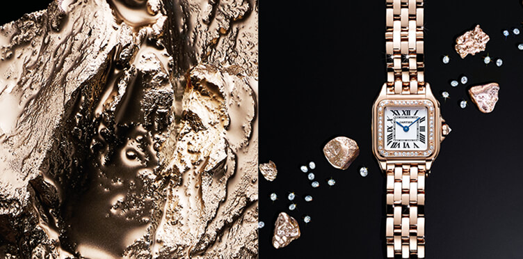 Prestige Ladies Watches