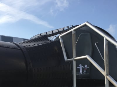 Flat stanleys on the gemini capsule