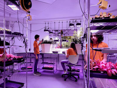 Students working in the botany lab