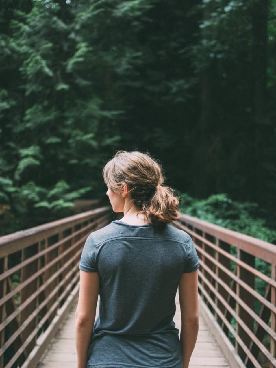 Person exploring a forest of trees (source: https://unsplash.com/s/ZDhLVO5m5iE)