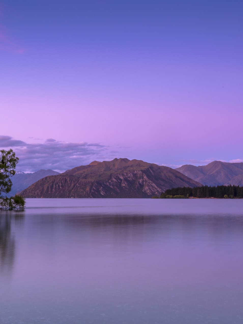 tree on body of water near mountains