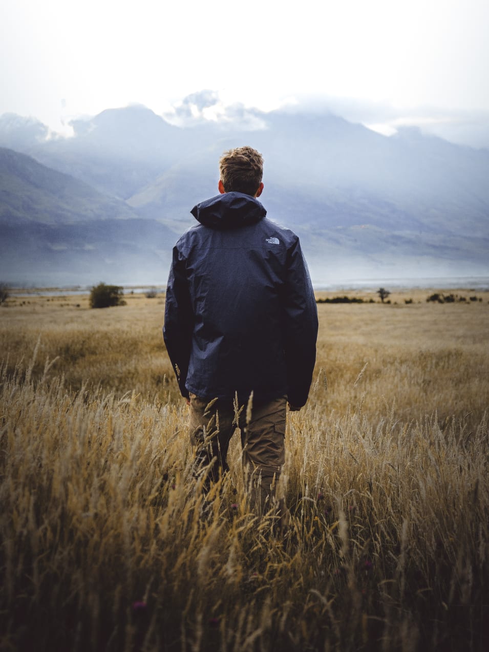 Man in middle of wheat field