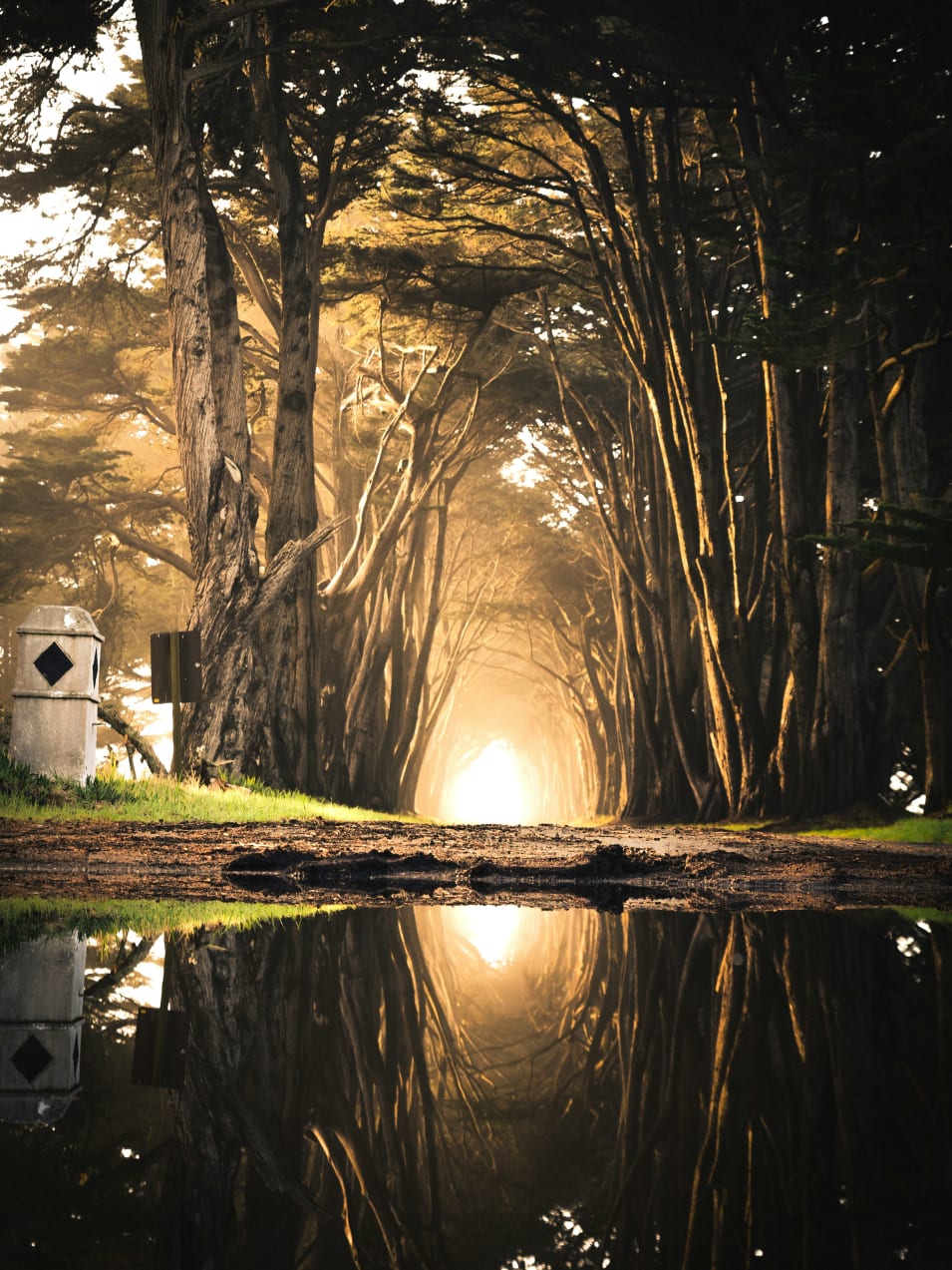 Body of water in front of brown soil digital art