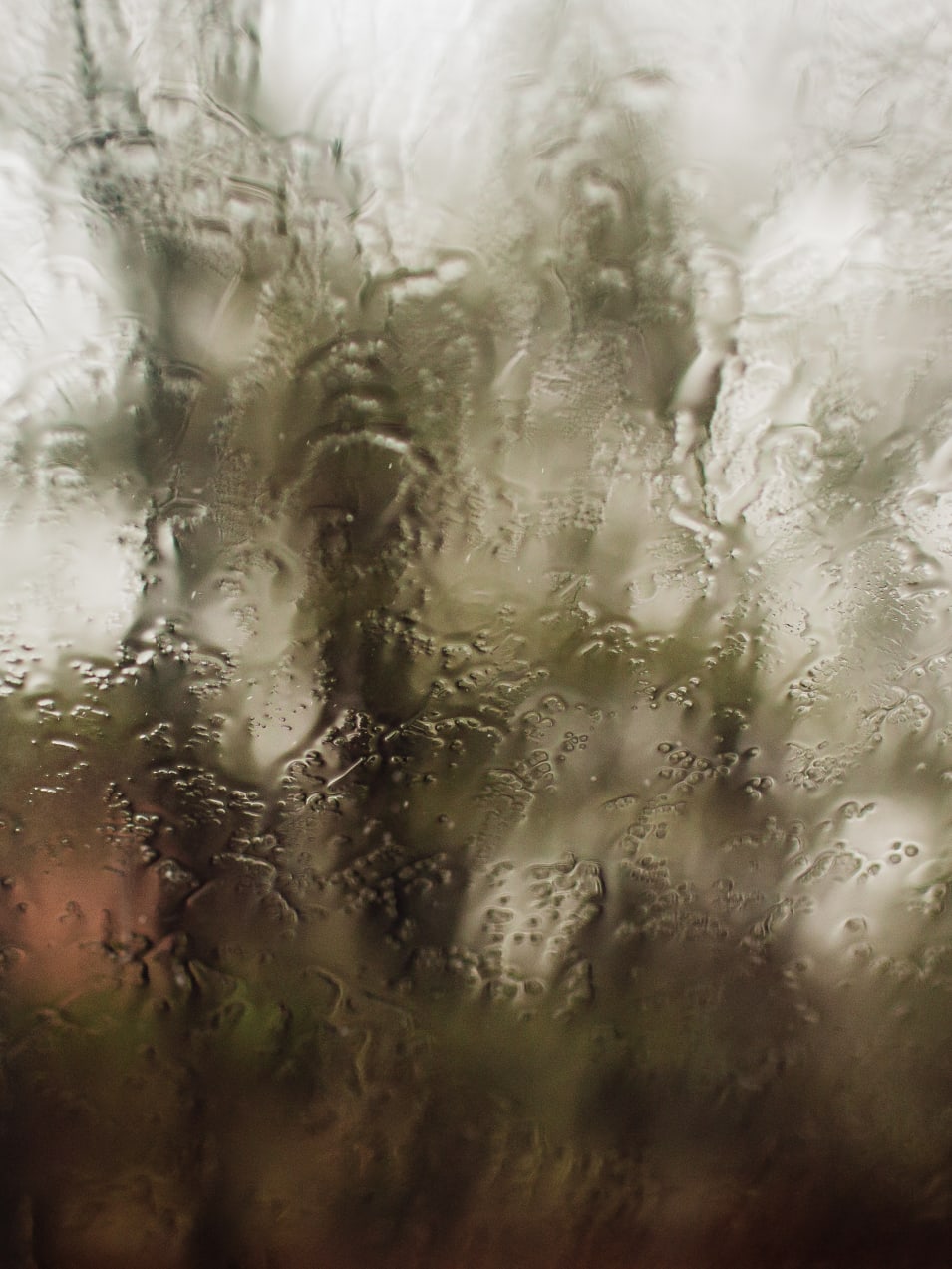 frosted glass window