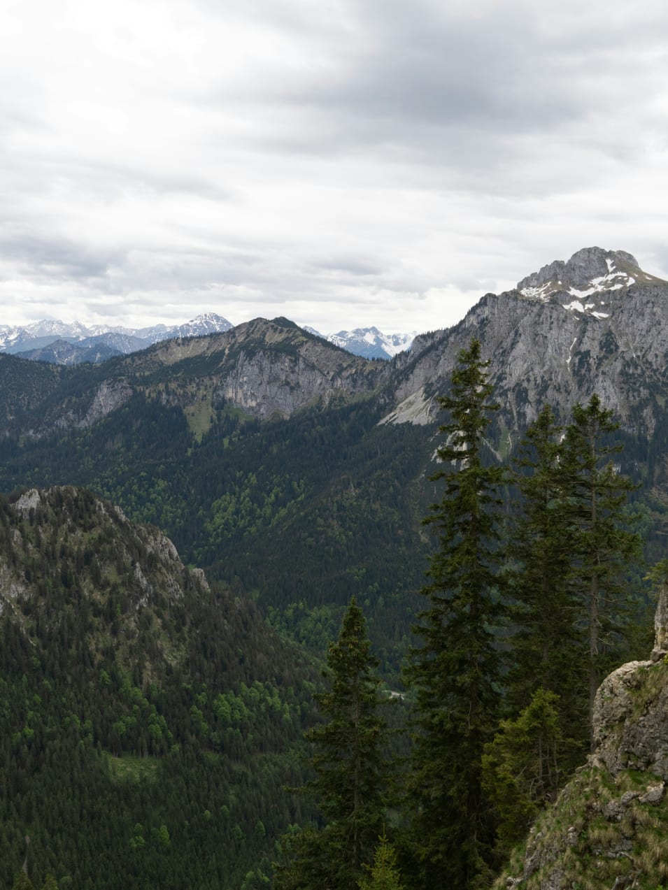 A scenic view of a mountain range with trees and mountains in the background