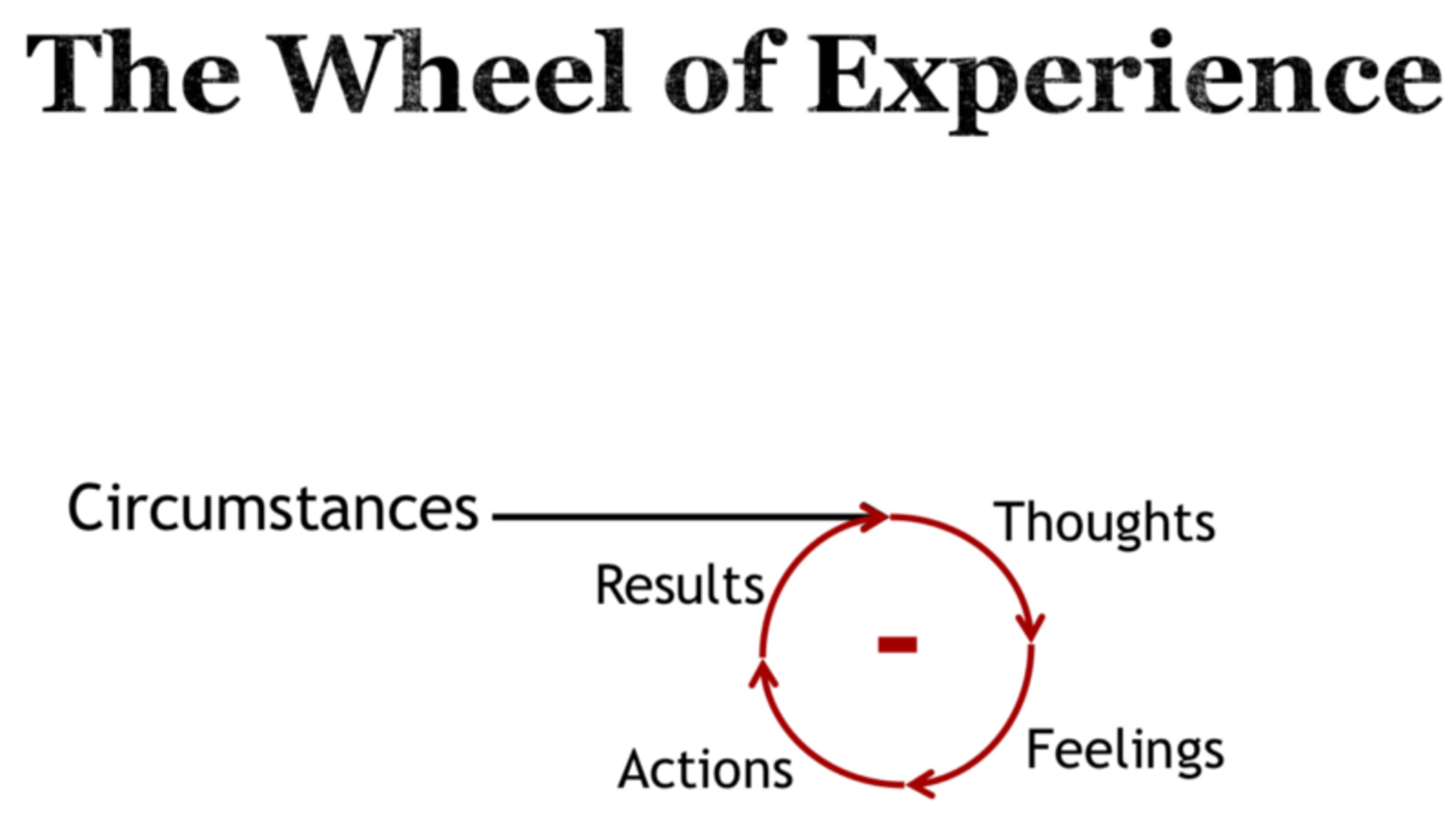 The Wheel of Experience: Negative