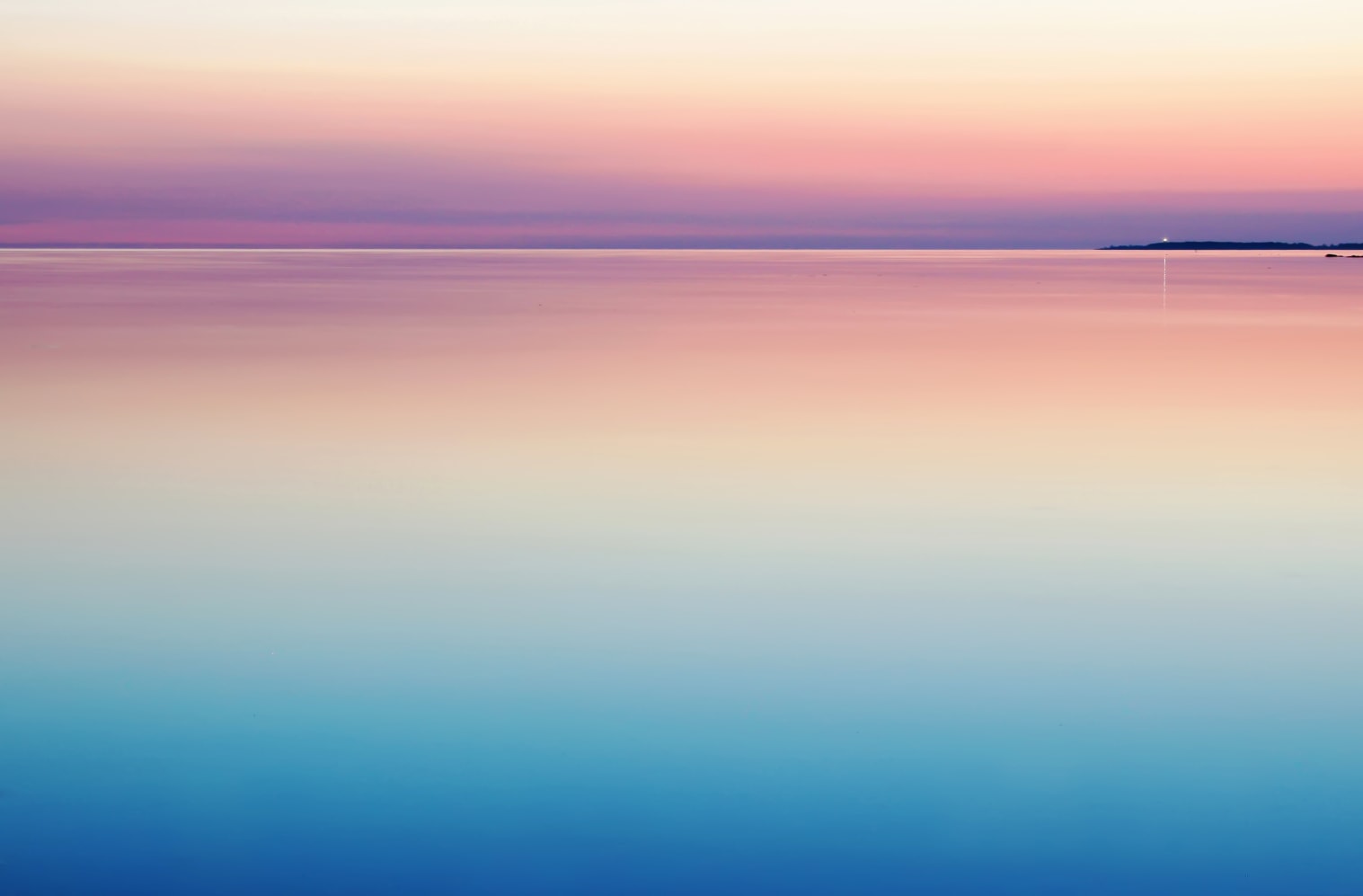 by Harli  Marten