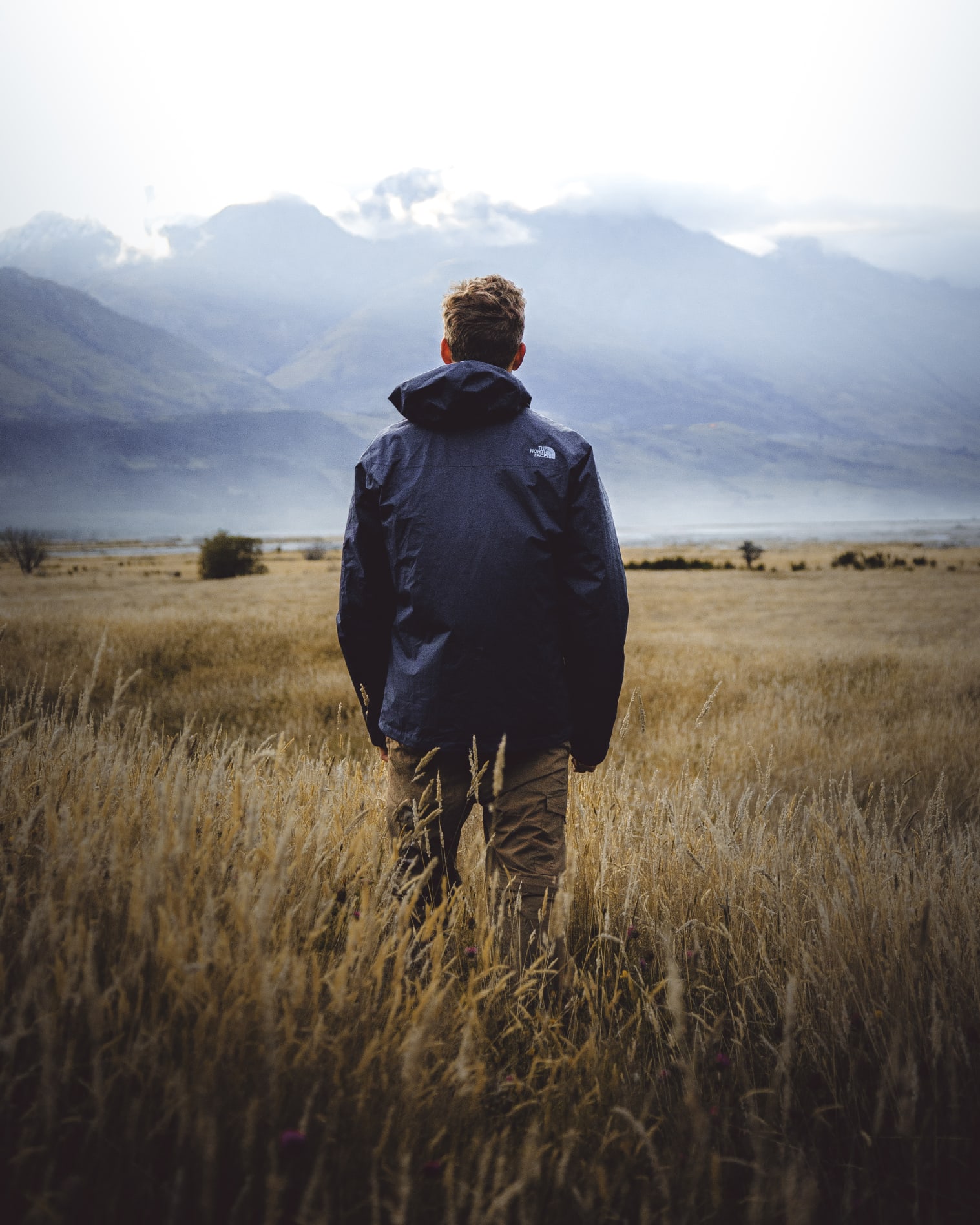 Man in middle of wheat field