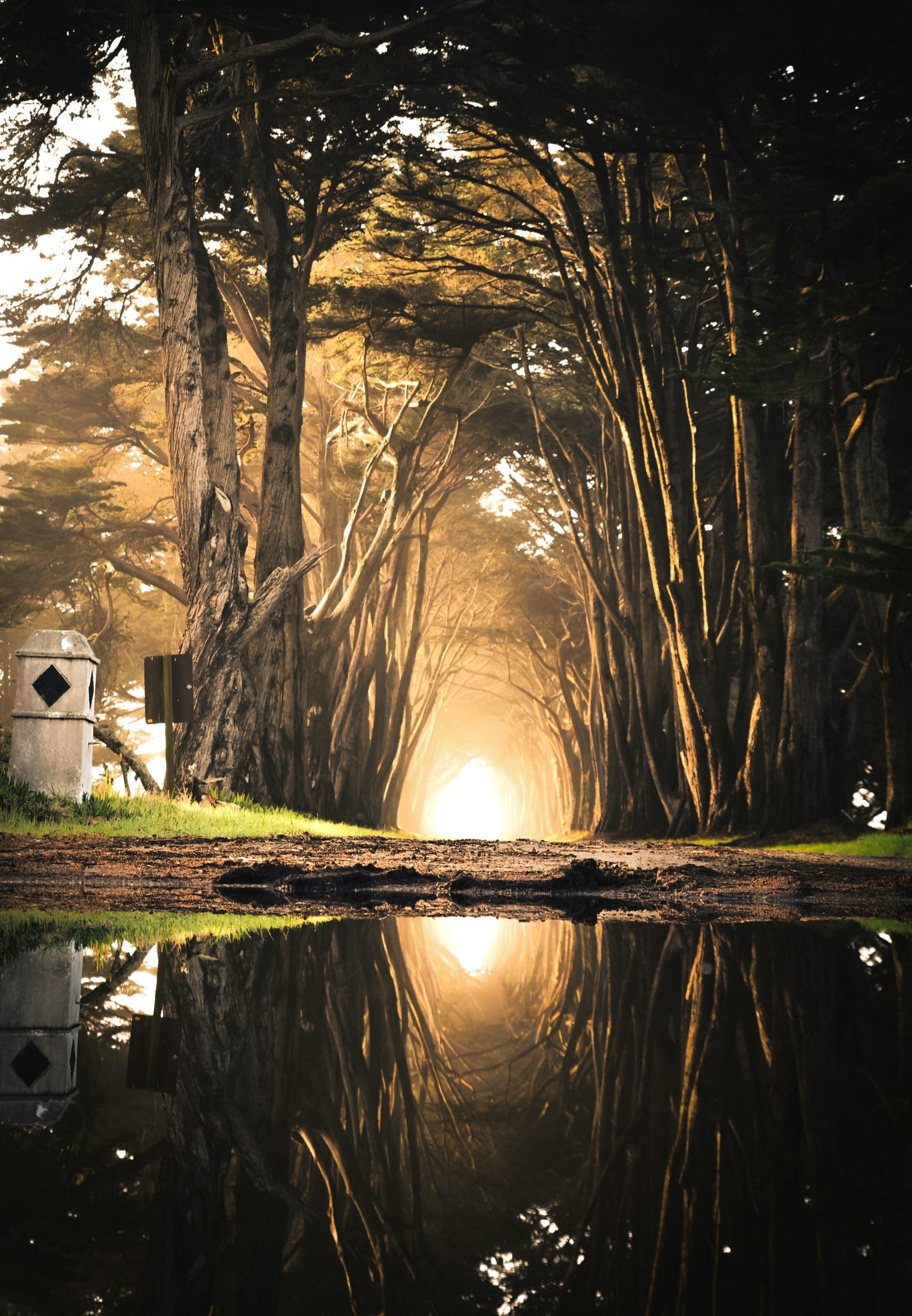 Body of water in front of brown soil digital art