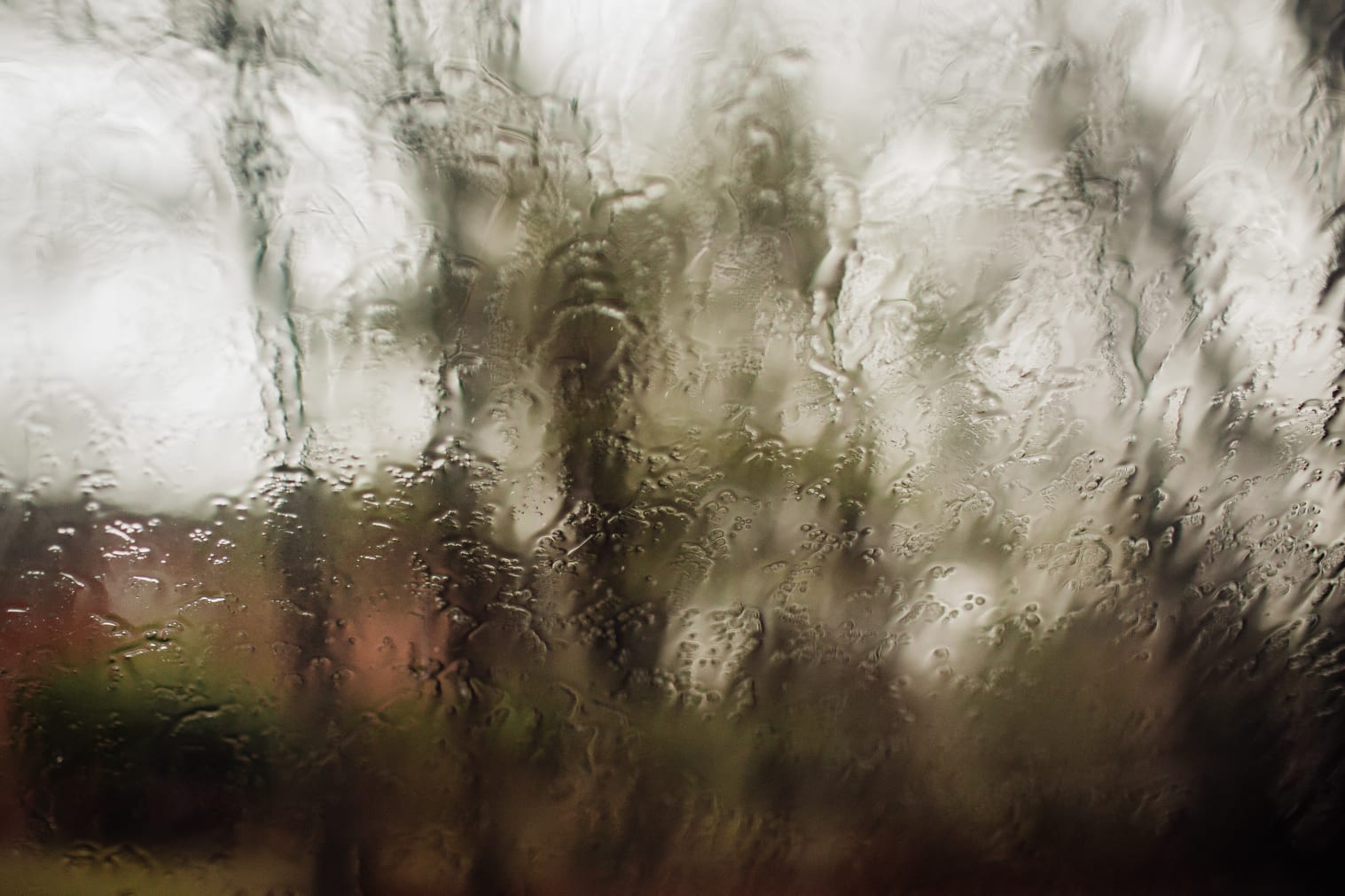 frosted glass window