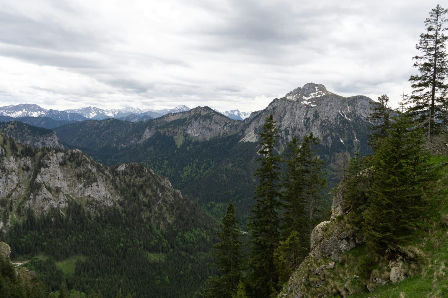 A scenic view of a mountain range with trees and mountains in the background