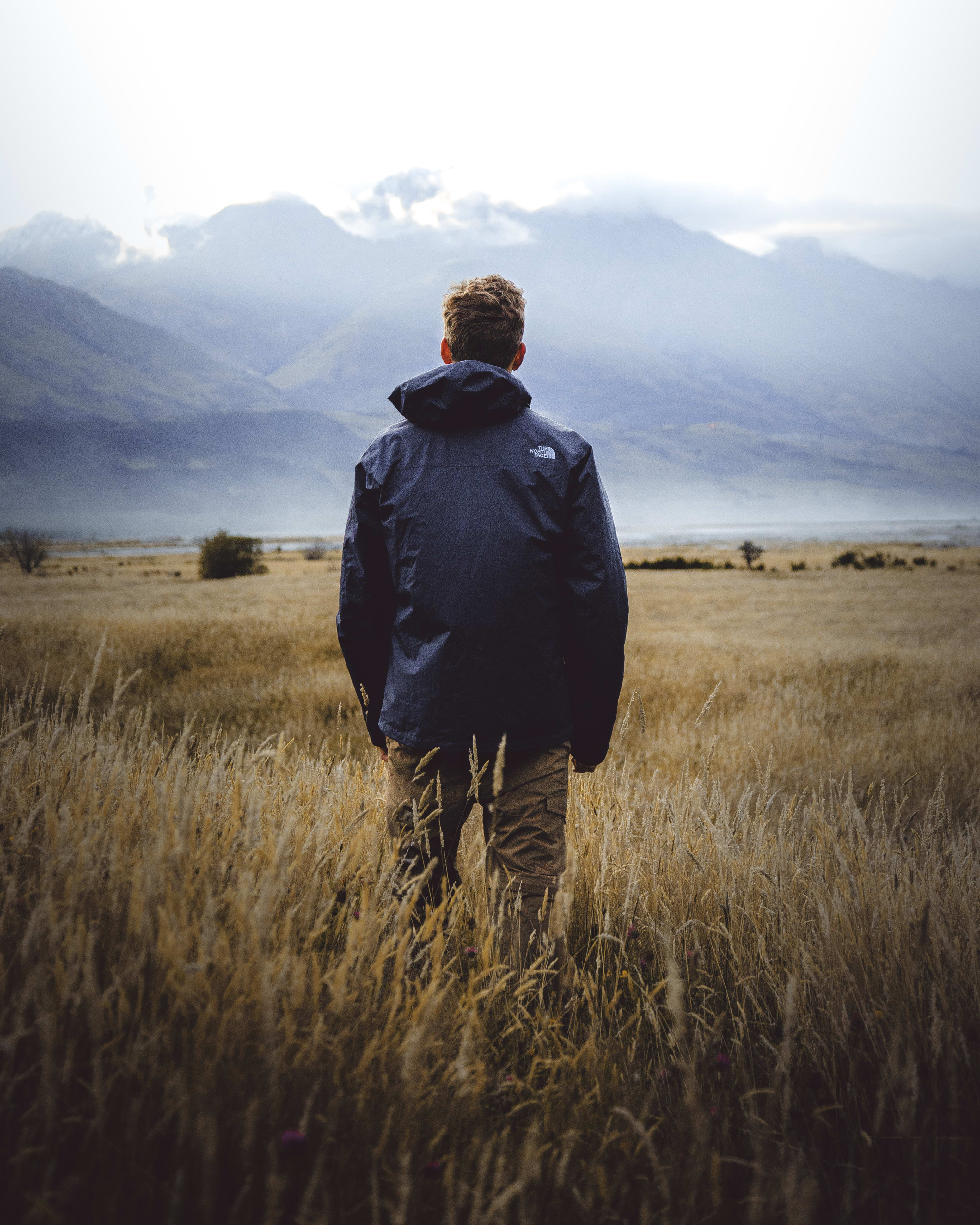 Man in middle of wheat field