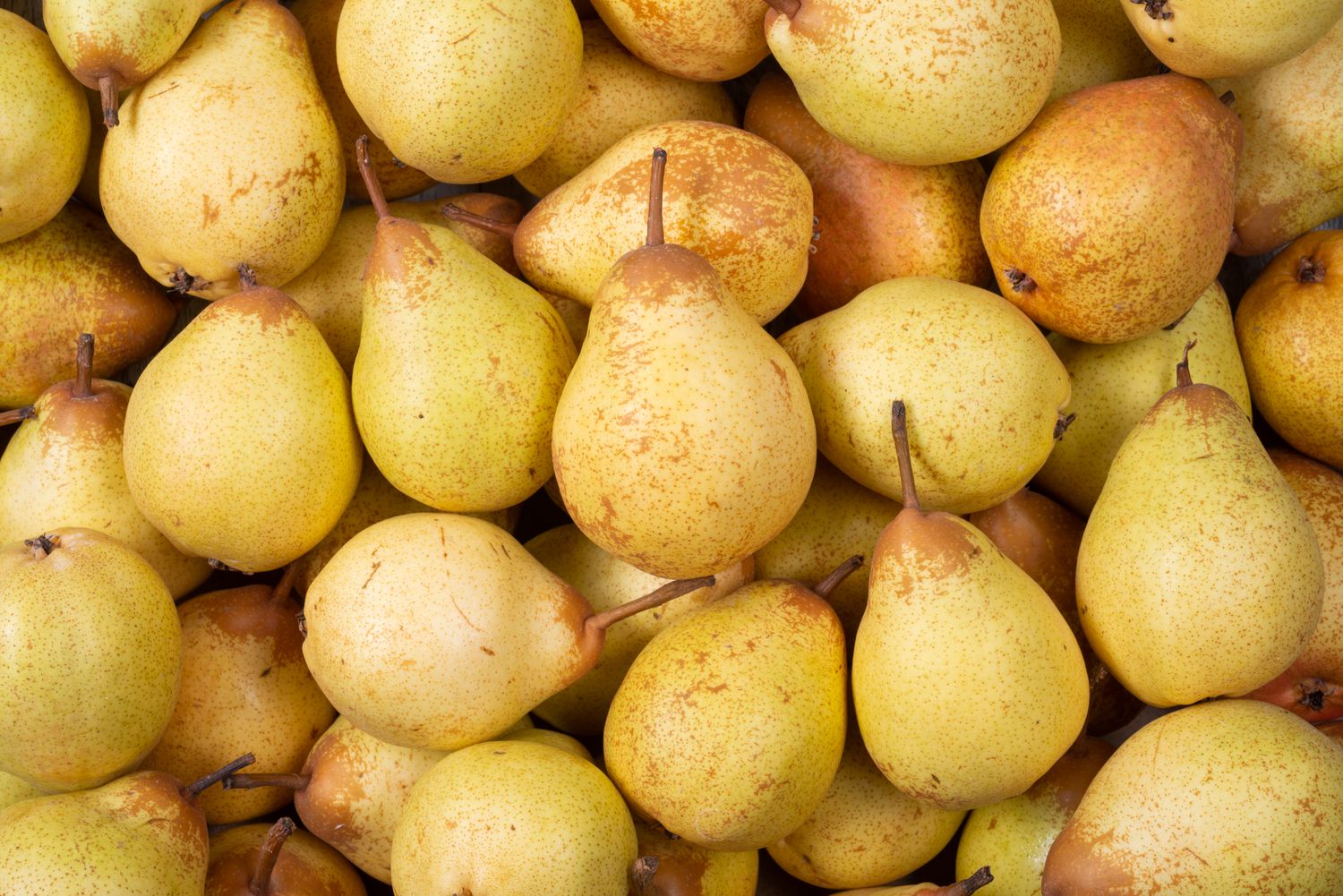 La Poire rocha - mon-marché.fr