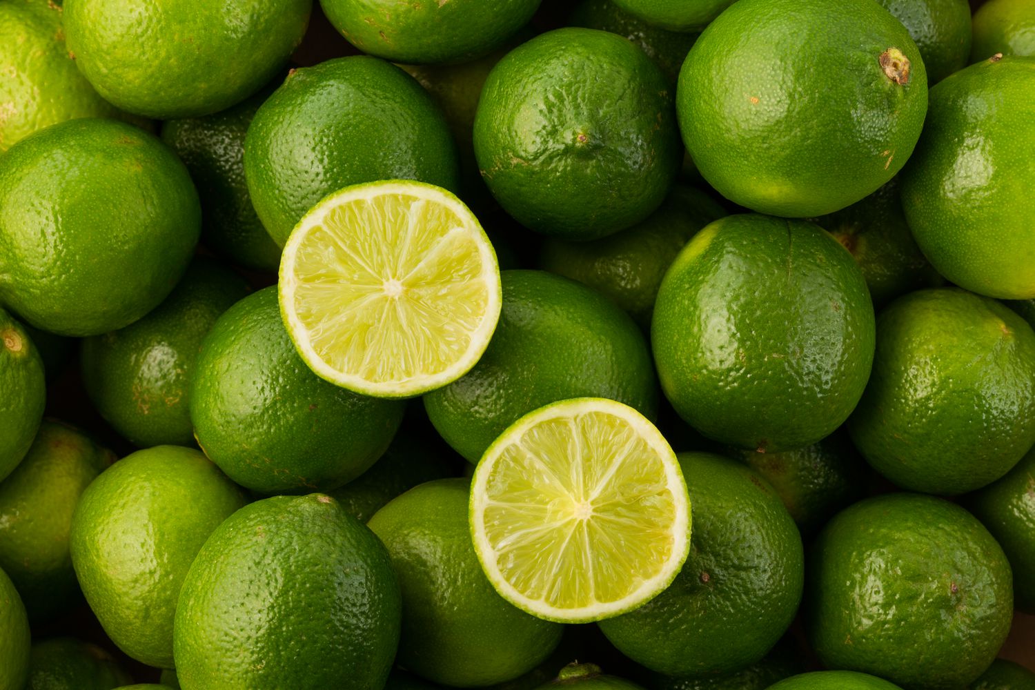 Prix et coûts de la citron vert en ligne
