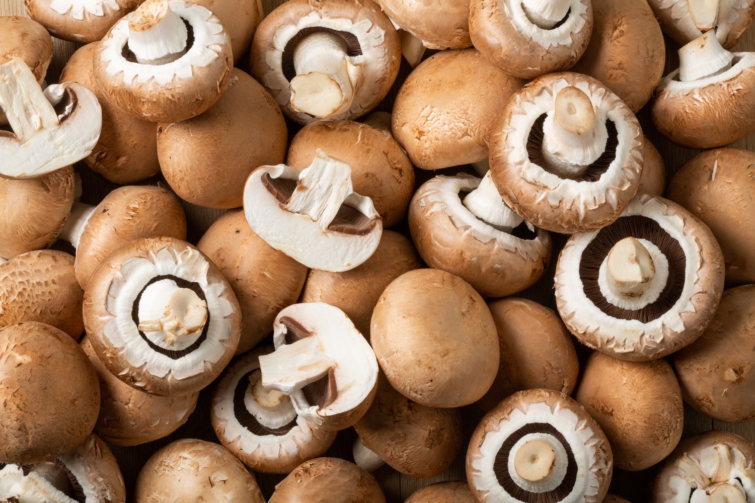 Le Champignon géant - mon-marché.fr