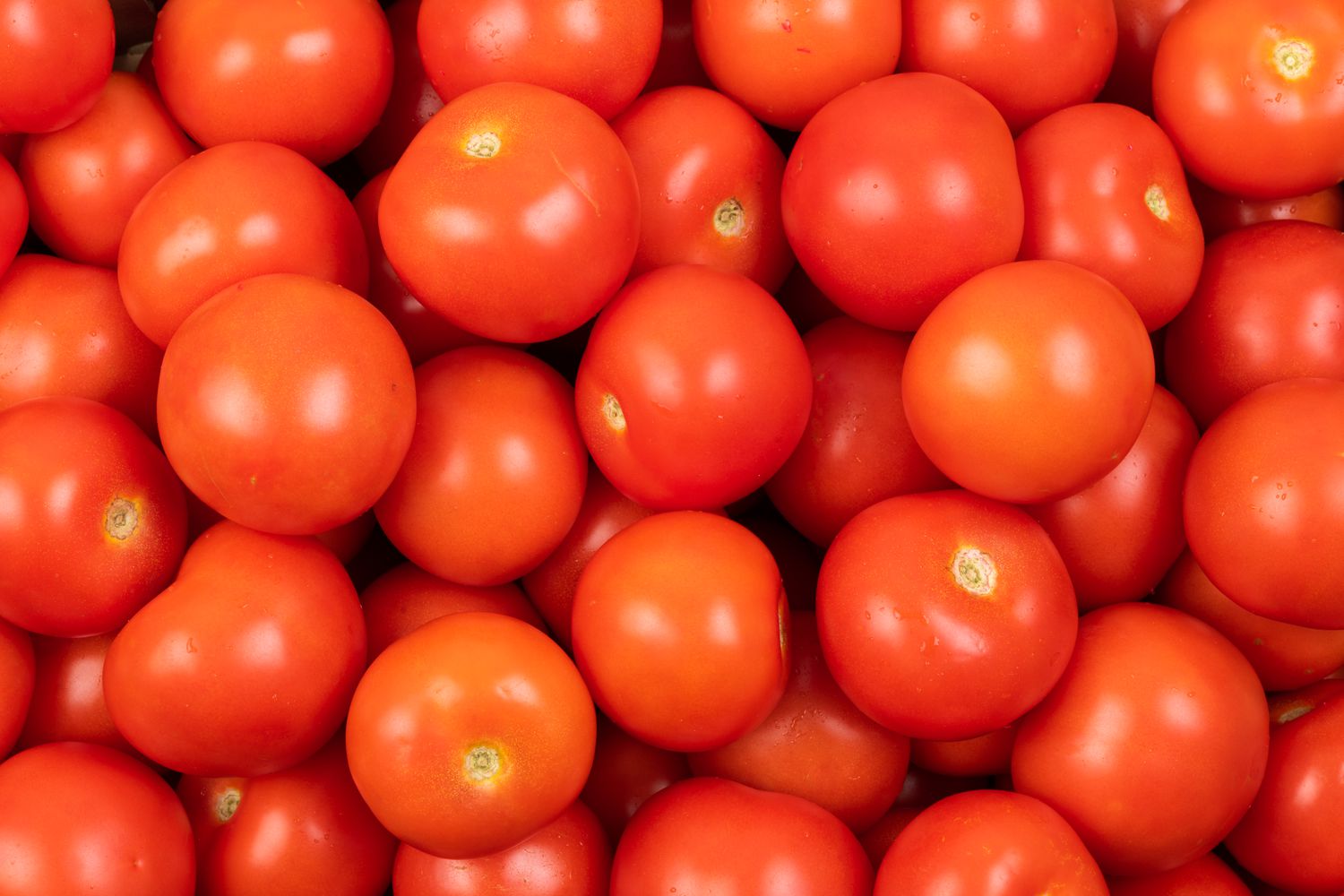 Tomate cerise Par Poids 1KG