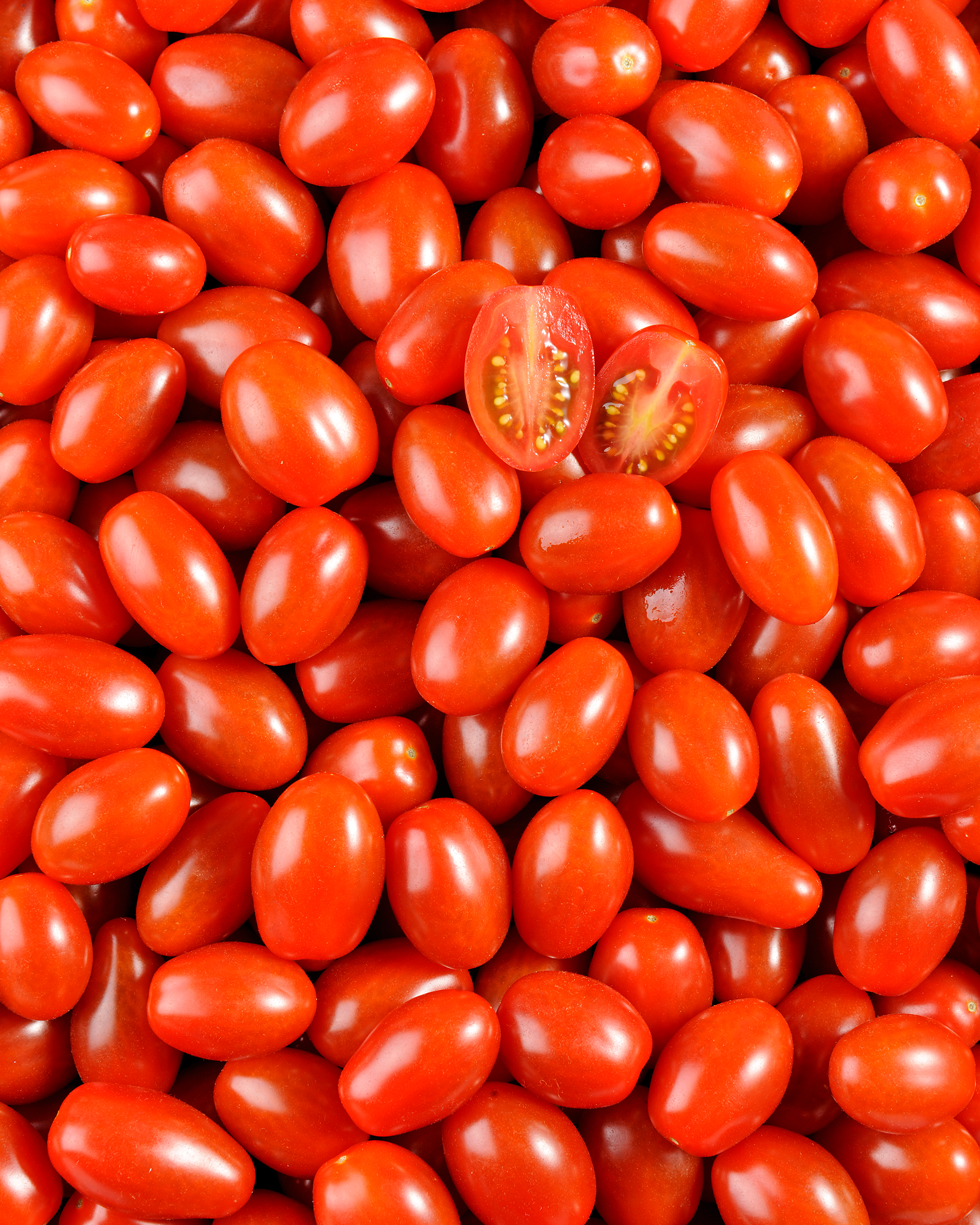 Tomate cerise rouge