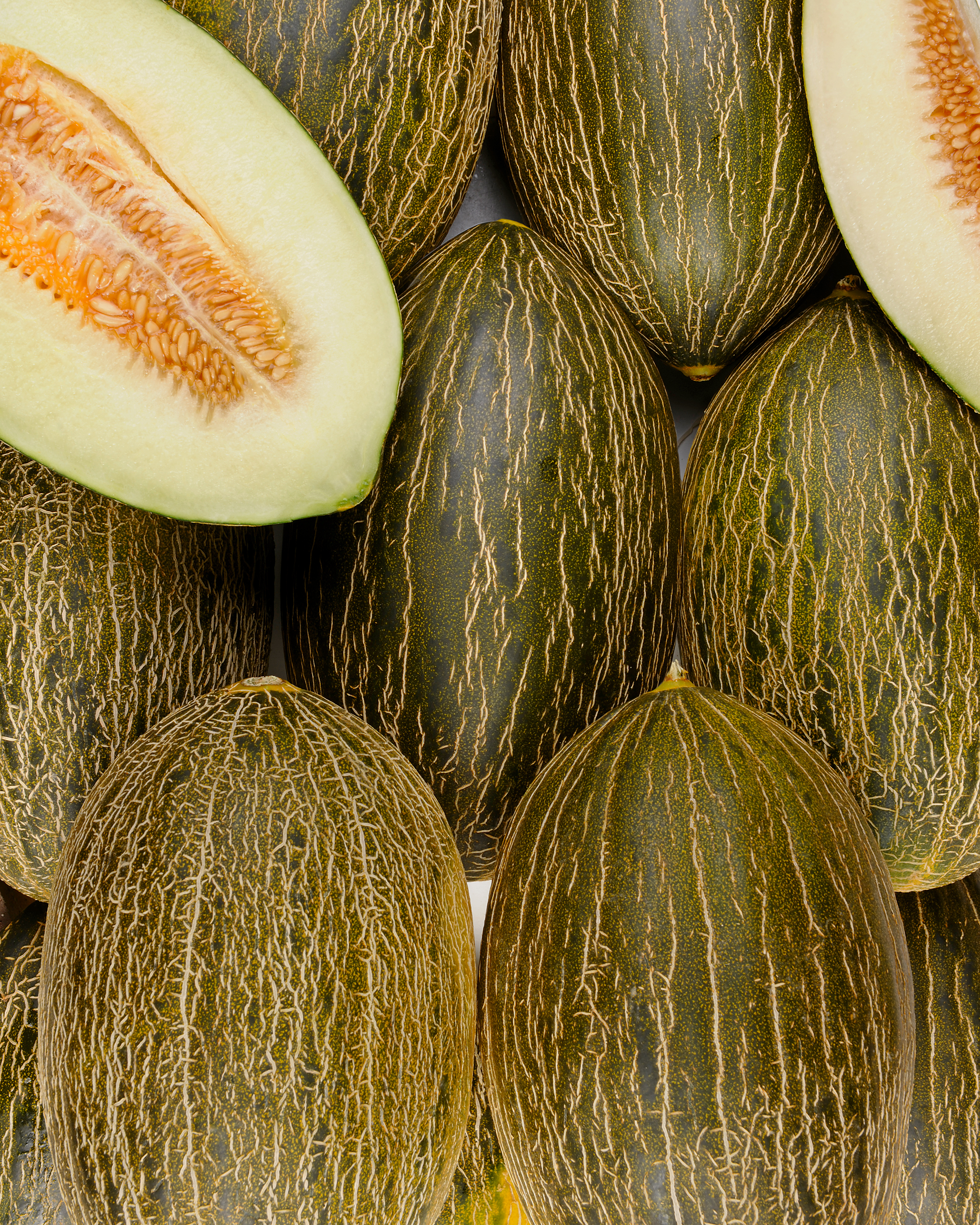 Melon vert (type espagnol) - Horticulteur